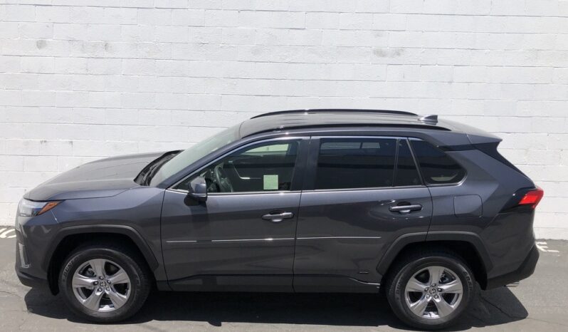 2025 Toyota RAV4 XLE full