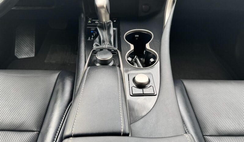2019 Lexus RX 350 full