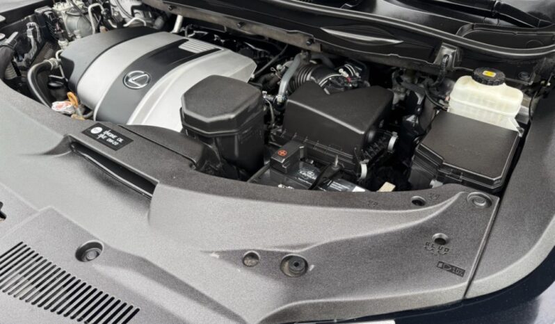 2019 Lexus RX 350 full